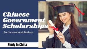 Chinese government scholarship